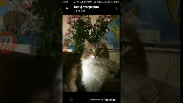 Почему заблокировали VK смотреть онлайн