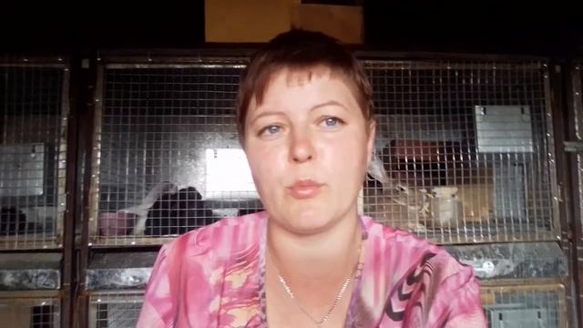 Ответ на вопрос в комментариях-Почему не растут крольчата? смотреть онлайн