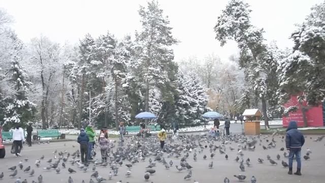  «Южная столица» – историко-культурное и природное наследие Алматы смотреть онлайн