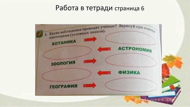 Зачем одуванчику парашют. Естествознание 2 класс смотреть онлайн