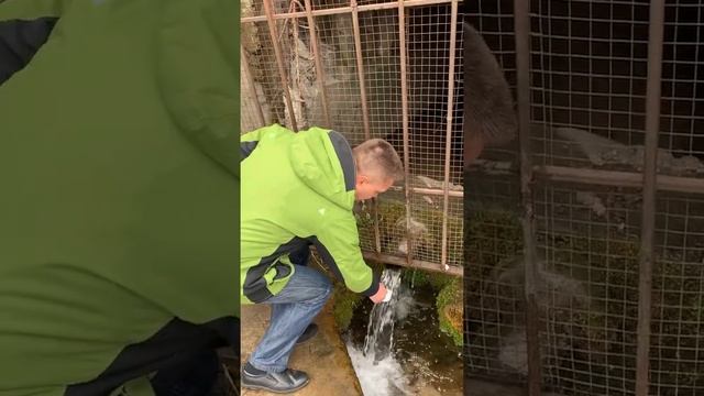 Тест воды из источника "Гремячий ключ" у Благовещенского монастыря г.Нижнего Новгорода смотреть онлайн