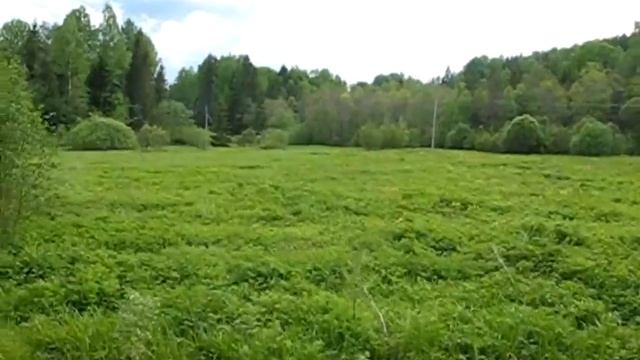 Как божественна природа и проста смотреть онлайн