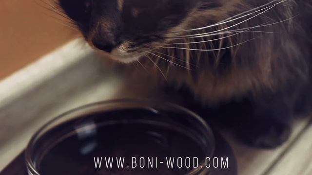 Підставка під миски для тварин з дерева "Three line". Для кішок і собак. Boniwood смотреть онлайн