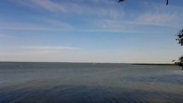 Лето в Калининграде смотреть онлайн