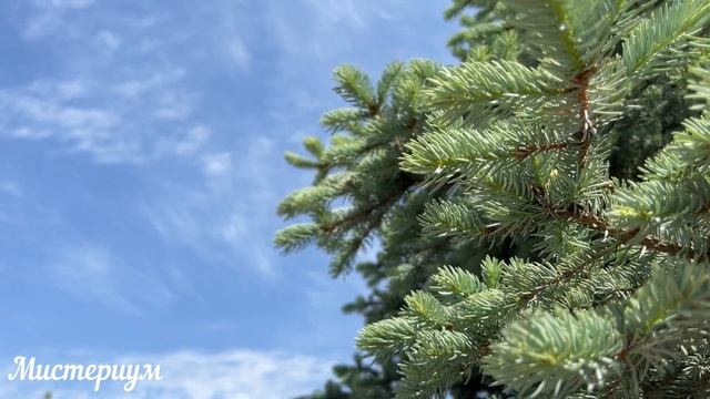 3 Самых Опасных Дня в Ноябре 2022 года. смотреть онлайн