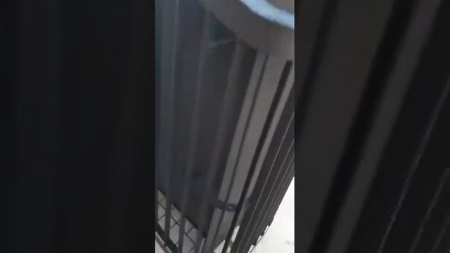 Первая растопка печи Варвара Терма каменка мини 2020 года. смотреть онлайн