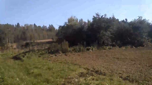 Московская область. Станция "Луговая" смотреть онлайн