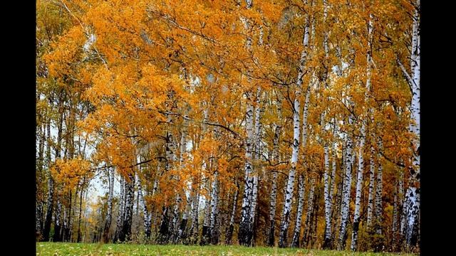 Отговорила роща золотая смотреть онлайн