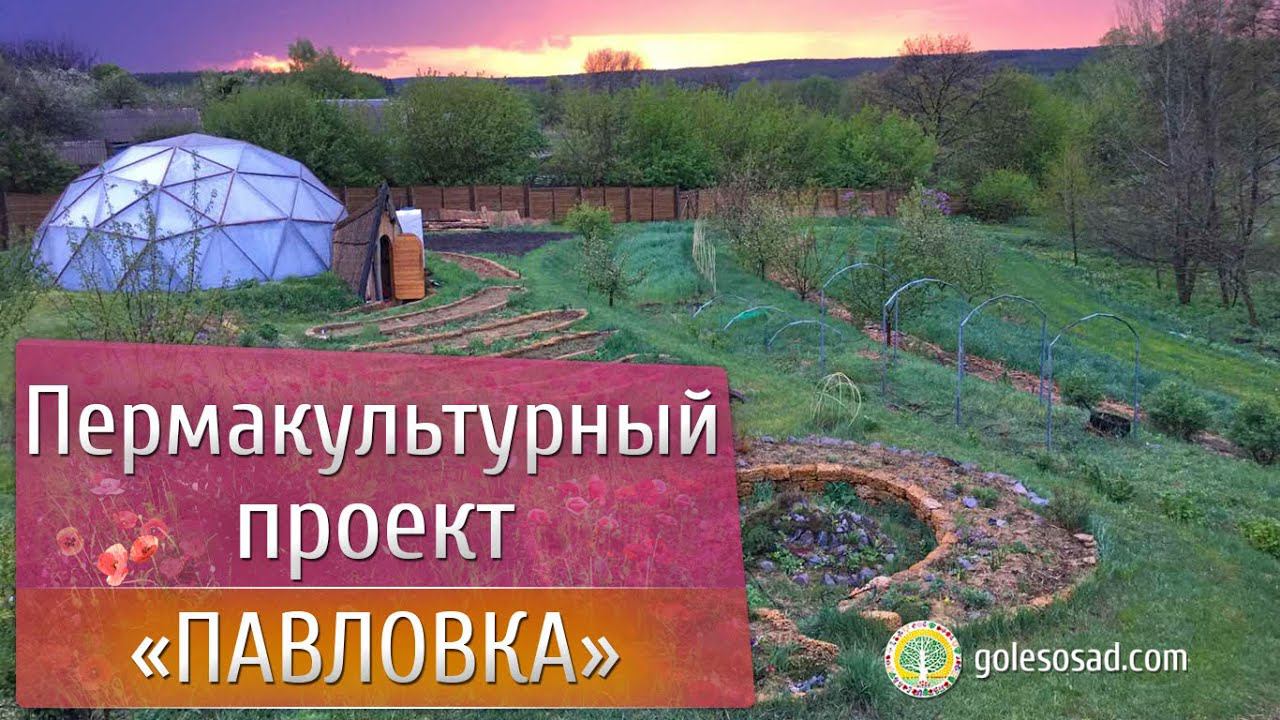 Пермакультурный проект 