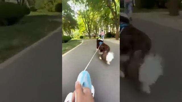 ТЕПЕРЬ КАЖДОЕ УТРО СПОРТОМ ЗАНИМАЮСЬ:)