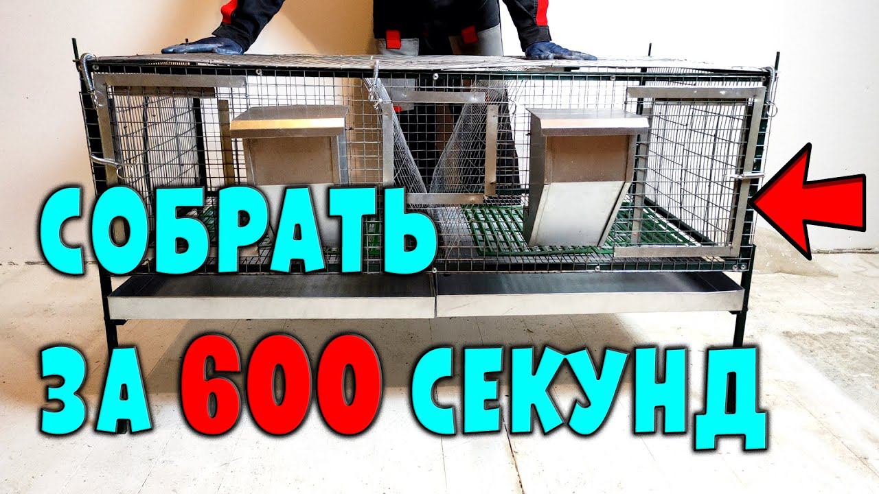 Новая клетка для кроликов. Собрать за 600 секунд! смотреть онлайн