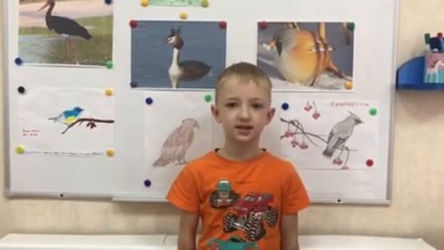 Зимующие и перелетные птицы смотреть онлайн