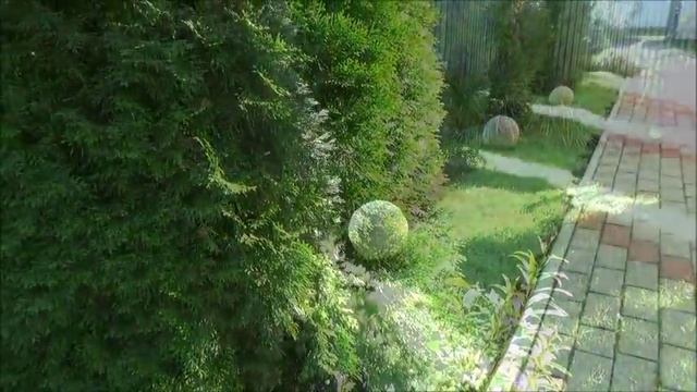 Дача. Каша.Утро. Про туи.Кошка на камне.Сестра-рукодельница.НР- дача Тани Поваровой. смотреть онлайн