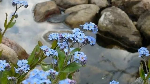 Притчи Елисова часть 4 смотреть онлайн