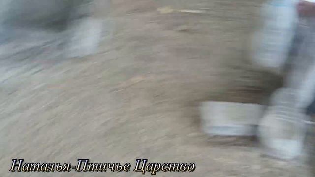 Яйцо подорожало смотреть онлайн