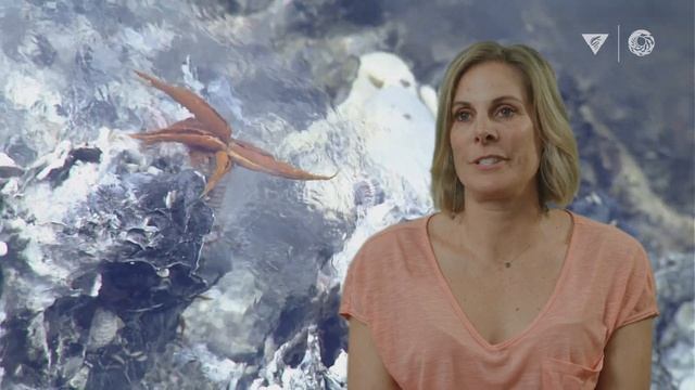 The Top 10 Deep-Sea Animals (according To Monterey Bay Aquarium Research Institute Scientists)