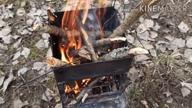 Сбор берёзового сока смотреть онлайн