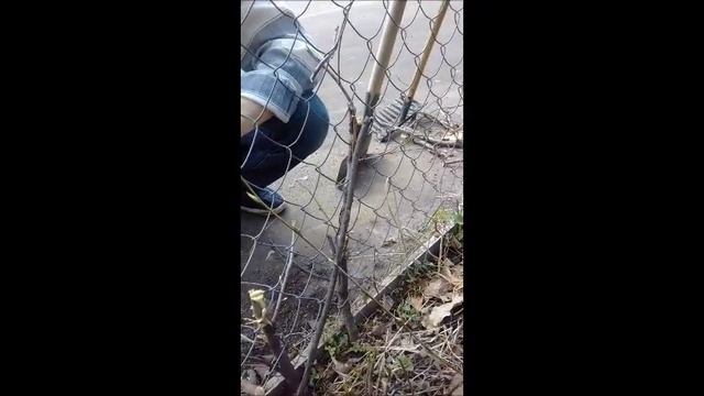 Самое необходимое для моделиста.   субботник 21 04 18 г.