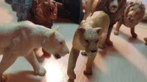 Обзор на мой прайд львов фигурки!