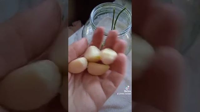 Маринованные патисоны смотреть онлайн