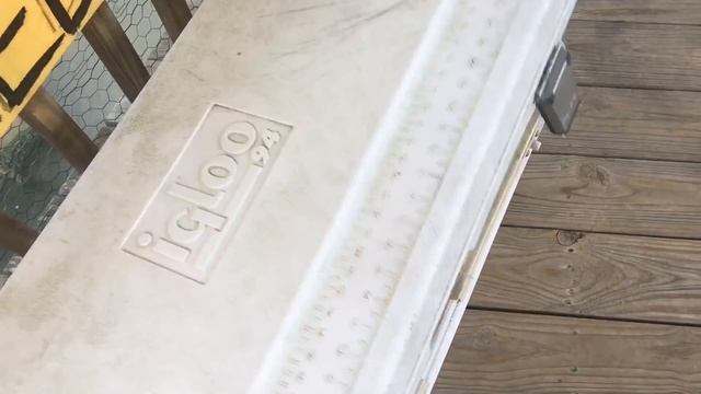 TDW 1657 - He Wanted Me To Hold This ! смотреть онлайн