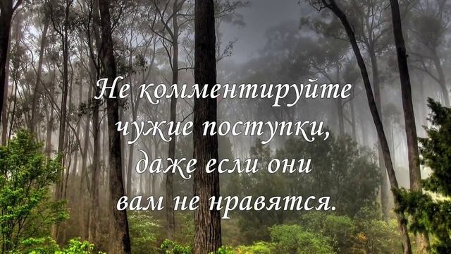 Седьмые лунные сутки Крайон смотреть онлайн