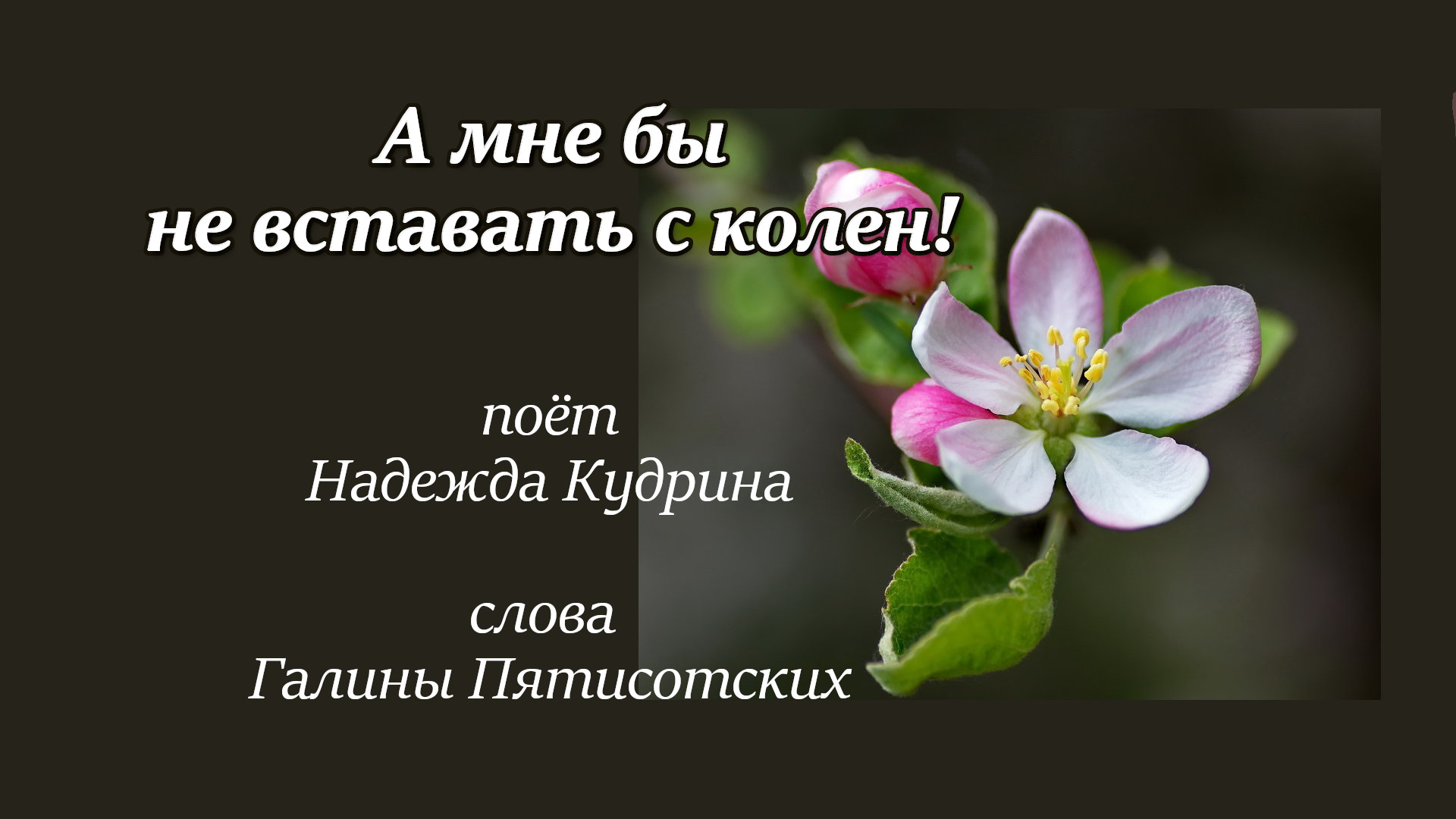 А мне бы не вставать с колен! музыка и исполнение Надежда Кудрина, слова Галины Пятисотских.mp4