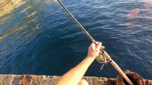 ?Зубарь на Поплавок  Ворует Удочку. Морская Рыбалка в Крыму. Как и на что ловить?