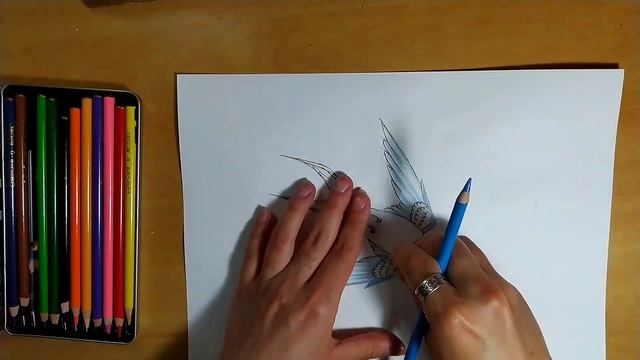Как нарисовать ласточку смотреть онлайн