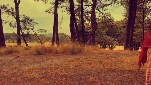 Jaya Radha Madhava смотреть онлайн