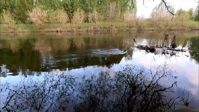 Рыбалка у дома на поплавок по большой воде в начале мая! смотреть онлайн
