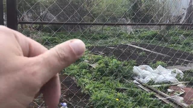 ПОДЕЛИЛ УЧАСТОК ПОПОЛАМ. смотреть онлайн