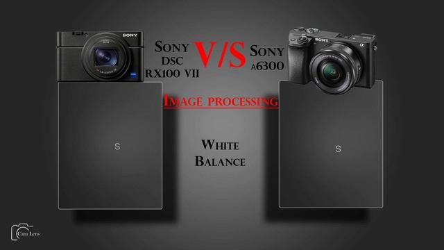 Sony DSC RX100 VII  Vs Sony α6300
