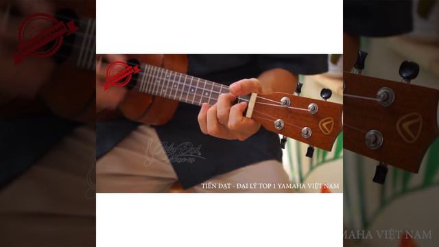 ĐÀN UKULELE VALOTE VA-24M01 смотреть онлайн