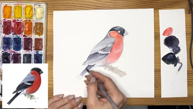 Как нарисовать снегиря карандашом и акварелью начинающим | Рисунок поэтапно и легко для детей смотреть онлайн