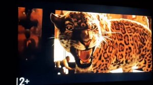 Sony Bravia с приставкой Smart TV