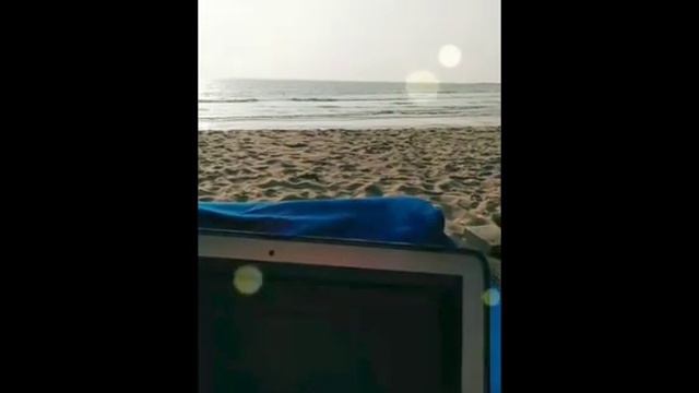 Как прокачать финансы и денежное мышление с роботом WSB смотреть онлайн