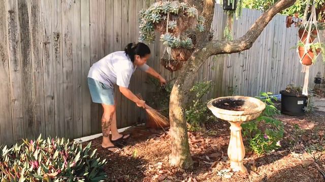 Garden clean up + mga regalo смотреть онлайн