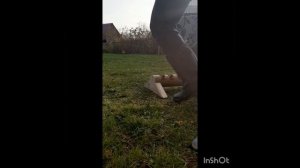 кормушка для кур из остатков канализационной трубы