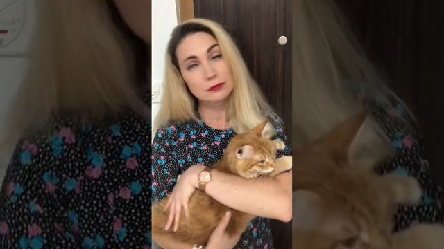 МОЙ МУЖ СКАЗАЛ, ЧТО ОН МЕНЯ НЕ ЛЮБИТ… смотреть онлайн