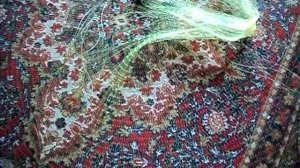 кастинговая сеть и стропы в квартире