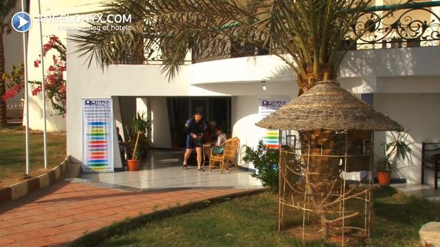 Sapphire Suites Hotel 4★ Hotel Hurghada Egypt смотреть онлайн