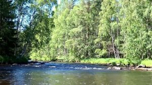 Карелия. Сплав по реке Онда на байдарке. Отдых в Карелии. Водный поход на байдарке по реке. Ондозер