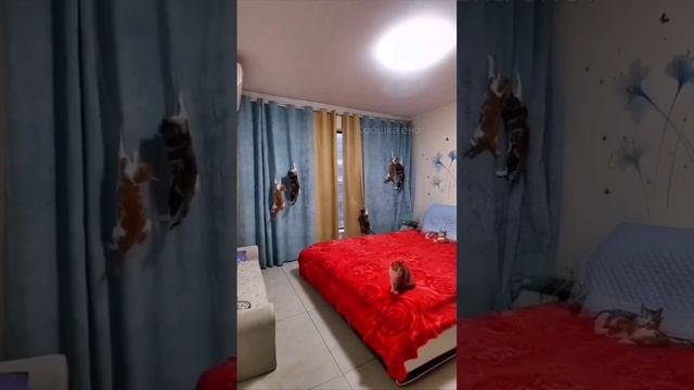 Спасибо за шторы? смотреть онлайн