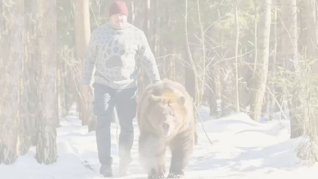Всё, бюргеры, сливайте воду! Шольц пообещал Германии экономическое чудо! смотреть онлайн