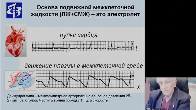 Стареющий мозг: механизм возникновения нейродегенеративных заболеваний смотреть онлайн