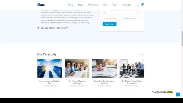 Elate Financial Consulting WordPress Theme consultancy company Website Builder смотреть онлайн