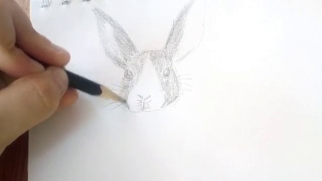 Как нарисовать кролика смотреть онлайн