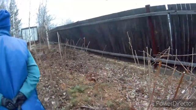 СУРГУТ. Обрезка малины. Шашлык. Стройка смотреть онлайн