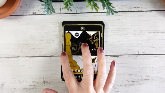 Black Cat Tarot (flip-through and pairings) смотреть онлайн